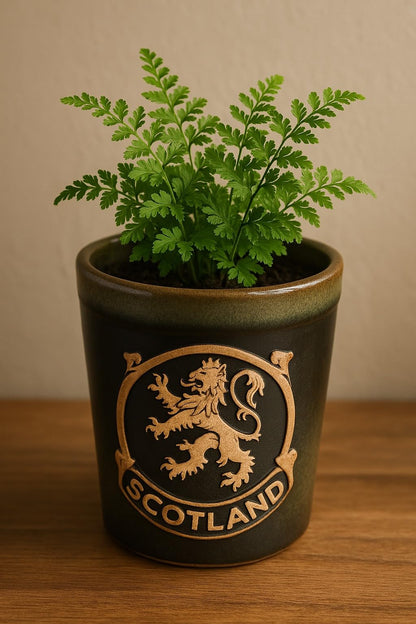 Glen Appin Stoneware Plant Pots Succulent Plants Pottery Scotland Flower Pots Scottish Gift 1.5 fl oz(44ml)