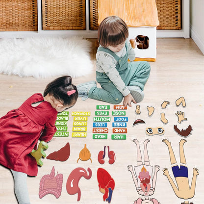 BEUNITONE Body Parts Learning Felt Story Board for Family 48 Pcs Large Preschool Human Organ Name Words Useful Felt Story Board Set Wall Activity for Birthday Christmas New Year Gifts