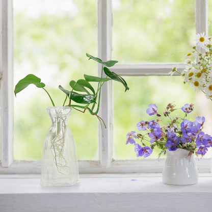 JECOMPRIS 4pcs Creative Glass Flower Vases Set, Unique Indoor Terrarium Vase for Desktop Home Décor, Glass Container for Hydrating Green Plants and Flowers