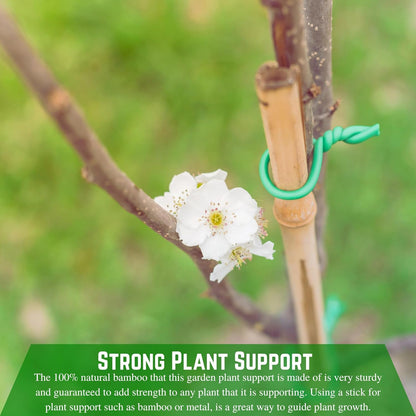 Farm Plastic Supply - Bamboo Garden Stakes - Bambo Sticks, Bamboo Plant Stakes for Outdoor Plants, Plant Support Stakes for Indoor Plants (4 Foot, 5)