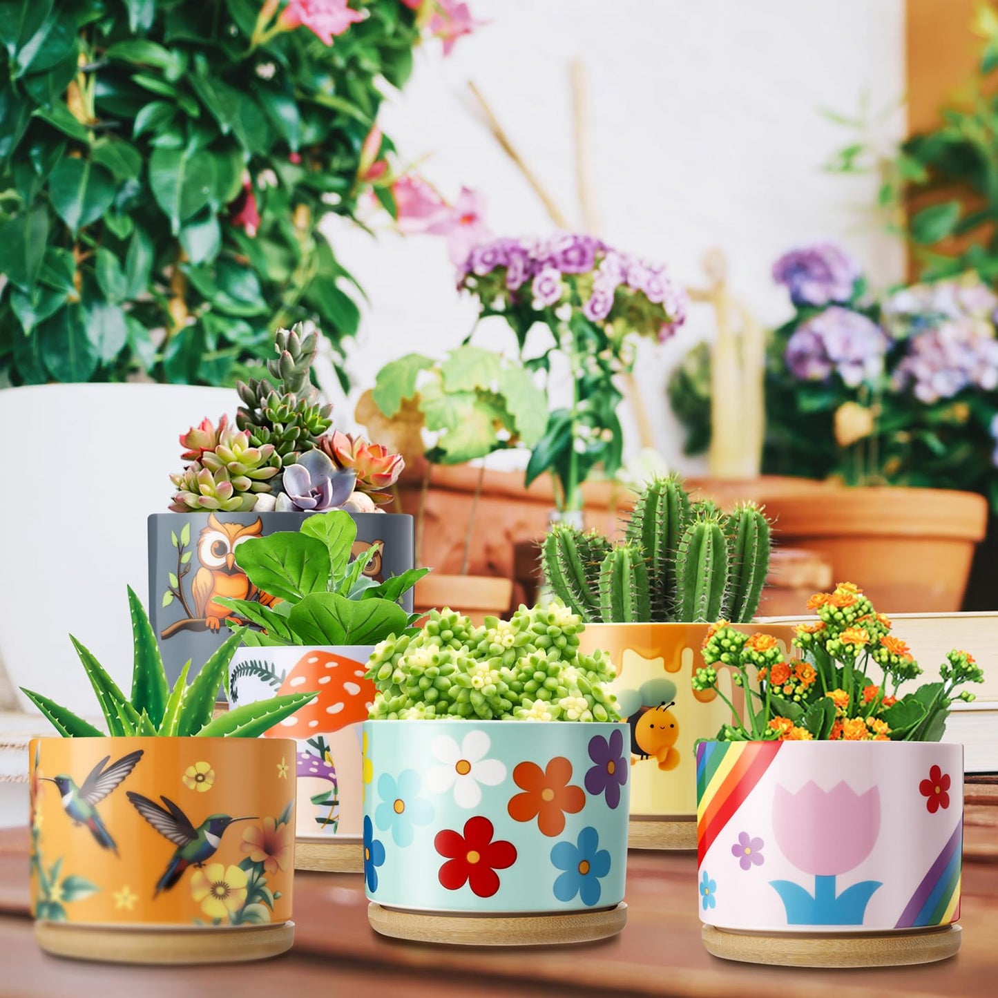 LOYIM 6 Pcs Ceramic Succulent Pots with Drainage and Bamboo Trays, Aesthetic Flower Planters for Spring Decor, Cute Decorative Succulent Pots for Mothers Day, Plant Lovers Gift, 3.7 Inch