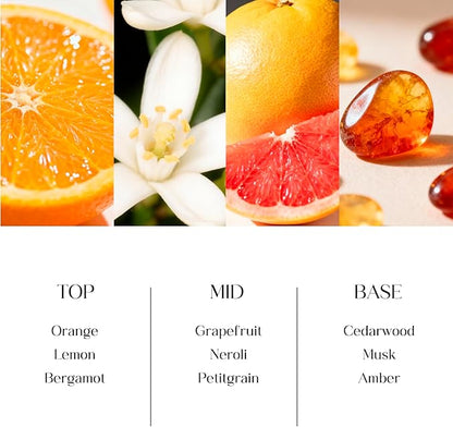 Clesh Reed Diffuser Set, 6.7 oz Citrus Scented Diffuser with Sticks, Home Fragrance Reed Diffuser for Bathroom Shelf Decor