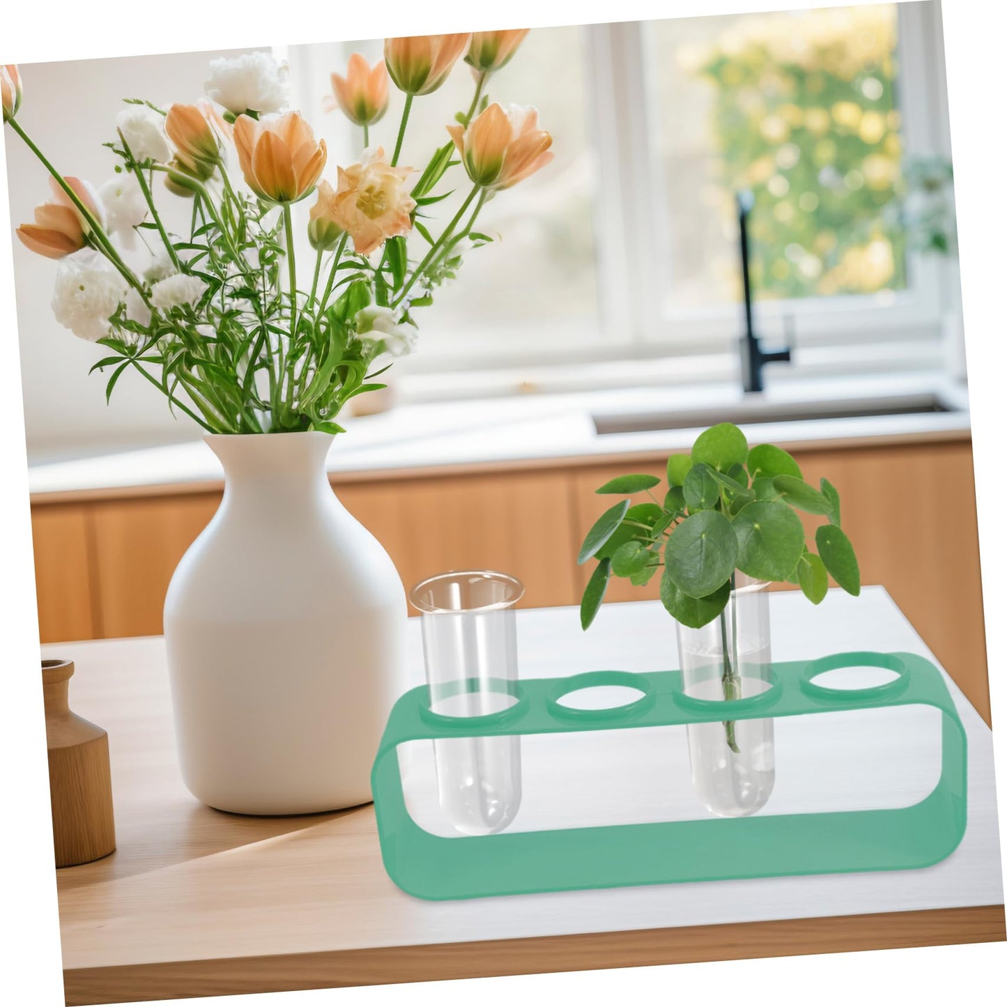 BESPORTBLE 4Pcs Transparent Glass Hydroponic Test Tube Planters for Indoor Plants Hanging Vases for Home Decor Space Saving Desktop Terrarium for Propagating Flowers