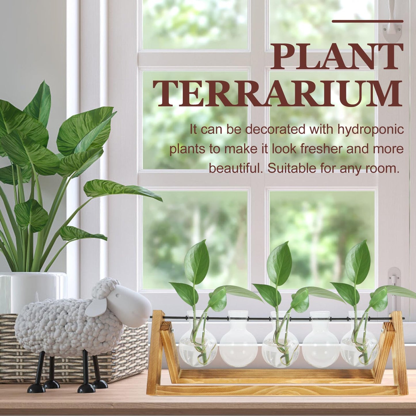 FOMIYES Glass Flower Vase Propagation Station with Wooden Stand, Hydroponic Plant Vases for Desktop Home Decoration, 5pcs Set for Indoor Green Plant Growing and Terrarium Display