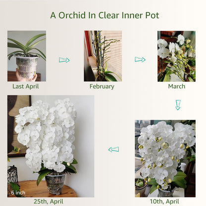 Meshpot 5 inch Orchid Pots with Holes for Repotting with Excellent Airflow, Set of 2, Double Layer Plastic Imitate Ceramic Orchid Planter, Clear Orchid Pot Match Decorative Orchid Container