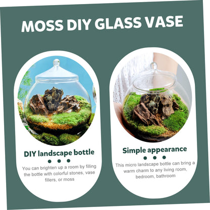 Glass Plant Terrarium Lid Eco Bottle Terrarium Jars Moss Ball Decorative Vase Style
