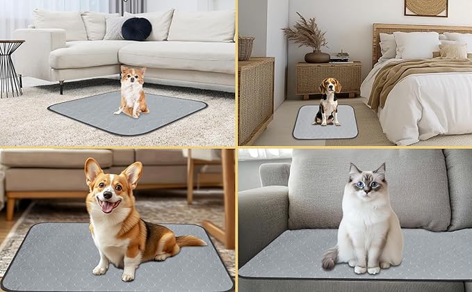 DAHAPYBOO Washable Pee Pads for Dogs 36x48,2Pack | Reusable Puppy Pads for Dog Non-Slip Waterproof Pet Training Pads for Crate, Playpen, Bed, Sofa,Whelping Box, Potty Training