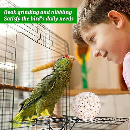 9 Pieces Bird Parrot Chew Toy Sola Balls, Natural Parrot Soft Chew Shredding & Foraging Toy, Bird Foot Balls for Cockatiel Conure Quaker Budgie Parakeet Bunny Guinea Pig Chinchilla Rabbit