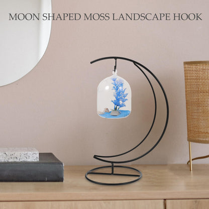 Luxshiny 2pcs Moon-shaped Hanging Hook Stand for Ornament Display and Indoor Terrarium Holder, Black Metal Hanging Rack for Air Plants, Glass Globe, and DIY Moss Micro Landscape Decor