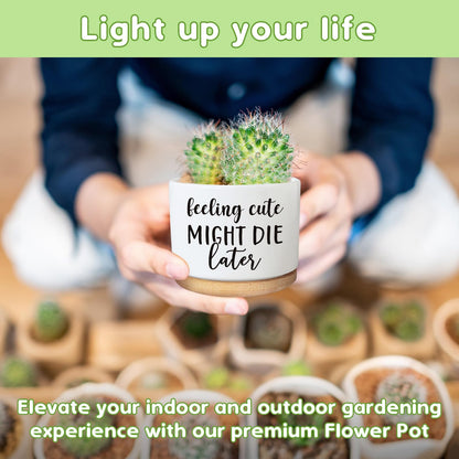 Funny Succulent Plant Pot, Cute 3.5 Inch Small Ceramic Cactus Plant Pot with Drainage, Home Office Desk Planter Pot for Friends Planter Lovers Birthday Christmas Housewarming Gifts (No Plants)