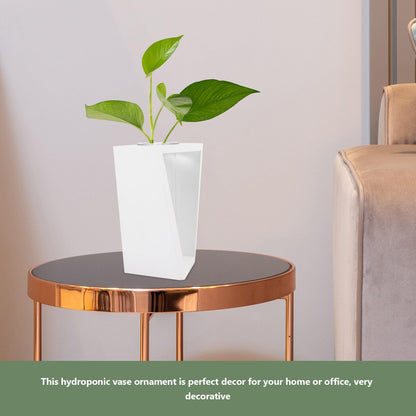 GOOHOCHY Wooden Frame Test Tube Glass Vase Hydroponic Propagation Planter for Indoor Plants Small Glass Terrarium Decor White Stand for Home Office