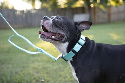 Country Brook Petz - Everyday Nylon Dog Collar and Leash - 10+ Cool Colors (3/4 Inch, Medium, Light Cyan)