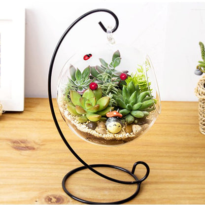 Mtlavishness Hanging Glass Vase Large Terrarium with Frame for Air Plants Succulent