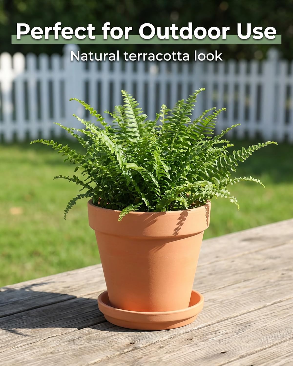 Riseuvo 6 Inch Terracotta Pots with Saucers – 4 Pack Medium Clay Flower Pots with Drainage Hole，Clay Pot for Succulents, Cactus and Indoor Plants, Wedding Favors
