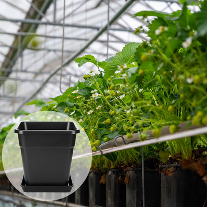 RimCereal 8 Pack 5 Gallon Large Square Nursery Pots 12 Inch with Drainage Saucers Black Plastic Plants Pots Outdoor Garden Planter Container for Indoor Outdoor Vegetables Flower Succulent Gifts