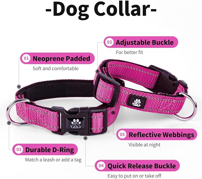 IVY&LANE Reflective Dog Collar and Leash Set,Adjustable Neoprene Padded Dog Collars, Breathable Nylon Pet Collar for Small Medium Large Dogs(X-Small,Fuchsia Pink)
