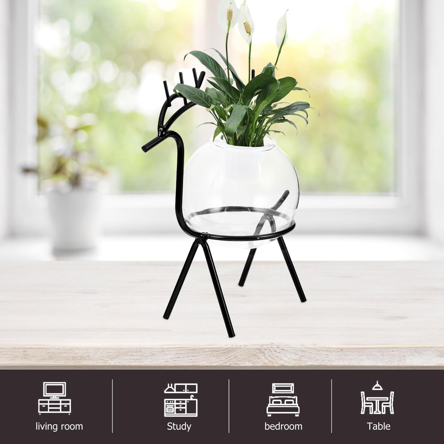 Uonlytech Hydroponic Flower Vase and Glass Plant Container with Metal Stand, Black Desktop Planter for Home and Office Decoration, Nordic Style Terrarium for Succulents and Green Plants