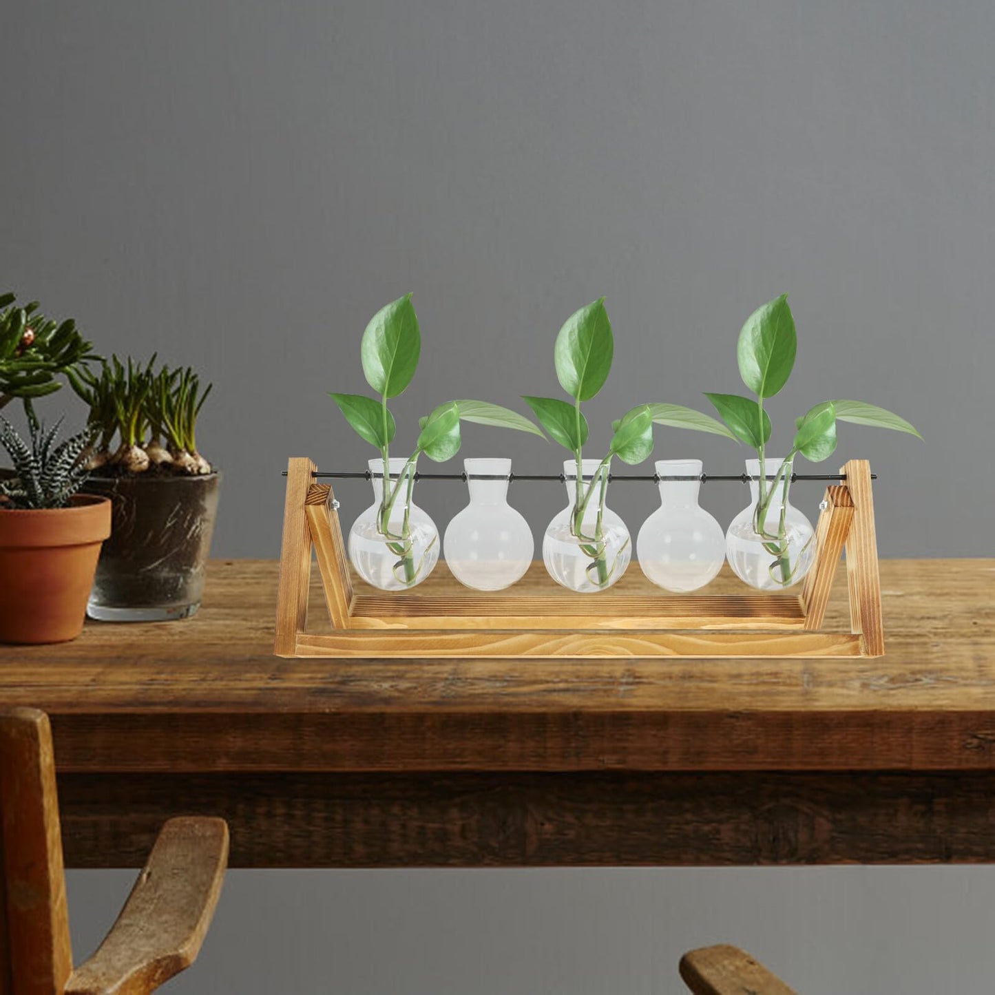 Toyvian Glass Propagation Vases Set of 5 with Wooden Stand, Glass Containers for Hydroponic Plants and Desktop Greenery Decoration, Indoor Plant Terrarium Station for Home Garden