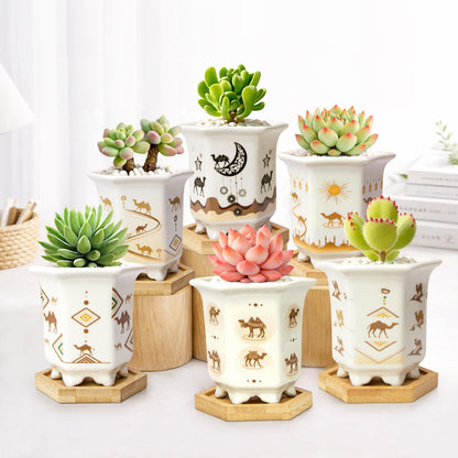 Succulent Pots 6 Pack, Small 3.3 Inch Cactus Pots with Drainage and Bamboo Tray, Ceramic Plant Pots for Succulents, Small Planters for Indoor Plants, Mini Flower Pots