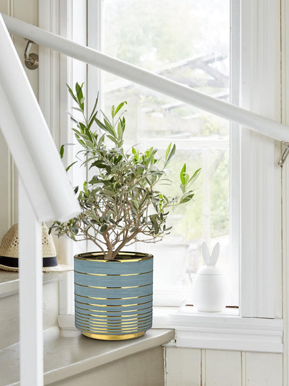 GnFlus Grey Ceramic Plant Pots, 5.5 + 6.2 Inch Gold Striped Planter for Plants, Modern Flower Pots for Home and Office, Indoor Planters with Drainage Set of 2