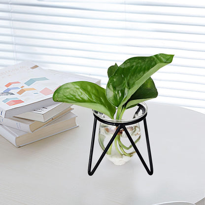 NUOBESTY 6pcs Small Iron Art Flower Stands with Hydroponic Glass Vases for Desktop Plant Decoration and Office Home Hydroponic Terrarium Display