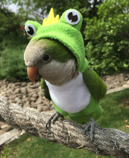 Bird Costume Diaper Flight Suit Frog Shape Hoodie Clothes Cosplay Photo Prop for Parrots Parakeet Cockatiel Sun Conure, Small Animals Apparel (Green with Diaper, Small), (BPF1)