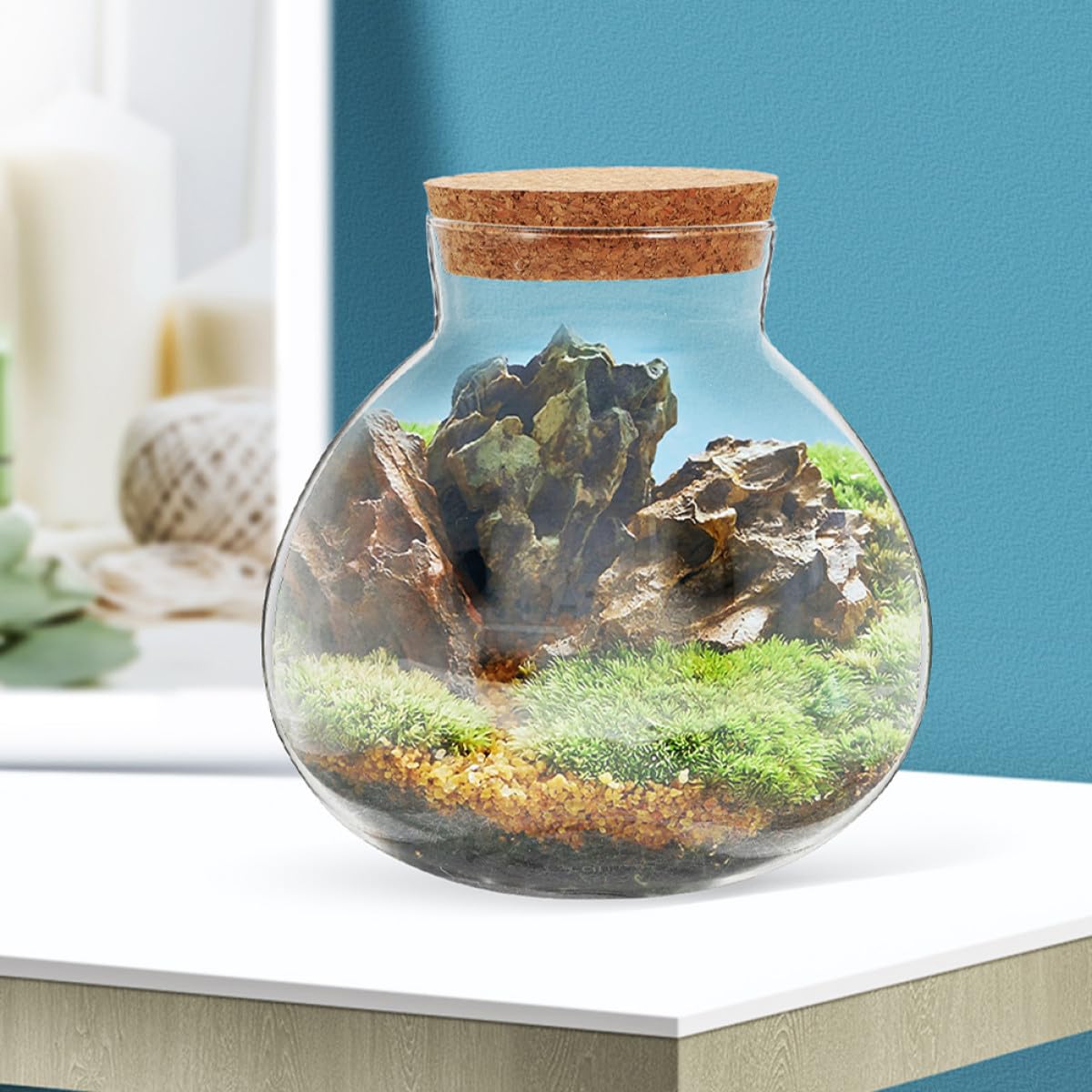 BESPORTBLE Microlandscape Ecological Bottle Cork Stopper – Round Glass Terrarium Container for Moss Plants – Decorative Planter for Home Office and Garden