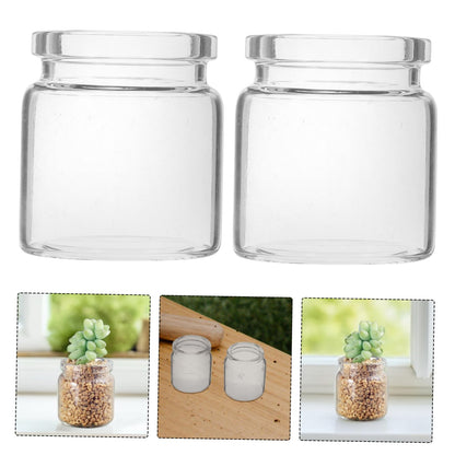 Toyvian 10pcs Elegant Miniature Glass Succulent Vases for Air Plants Display Micro Landscape Bottle Plant Propagation Jars