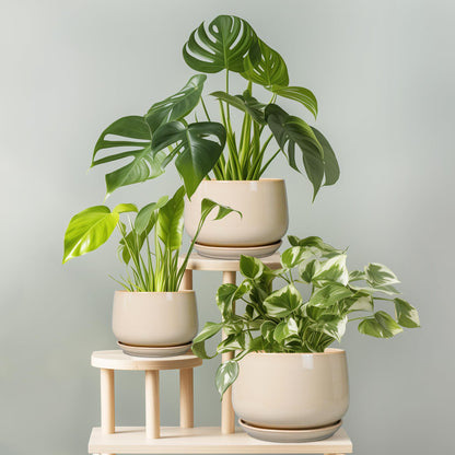 G EPGardening Ceramic Planter - 7 Inch Plant Pots with Drainage and Ceramic Tray, Flower Pots for Indoor Plants, Round Outdoor Planter, Room Decor, Gifts for Plant Lovers, Beige