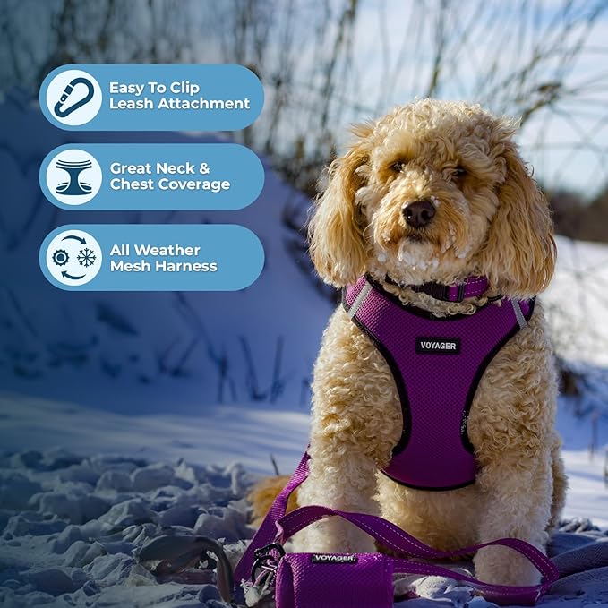 Best Pet Supplies Voyager Step-in Air All Weather Mesh Harness and Reflective Dog 5ft Leash Combo with Neoprene Handle, for Small, Medium and Large Breed Puppies - Purple/Black Trim, XX-Small