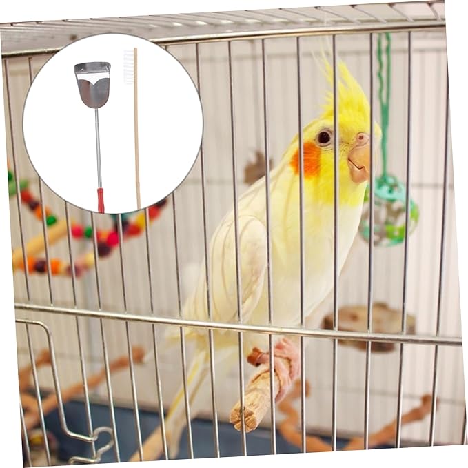 DOITOOL 4pcs Parrot Cage Cleaning Brush and Shovel Set Essential Pet Bird Cleaning Tools for Maintenance Create Healthy Environment for Your