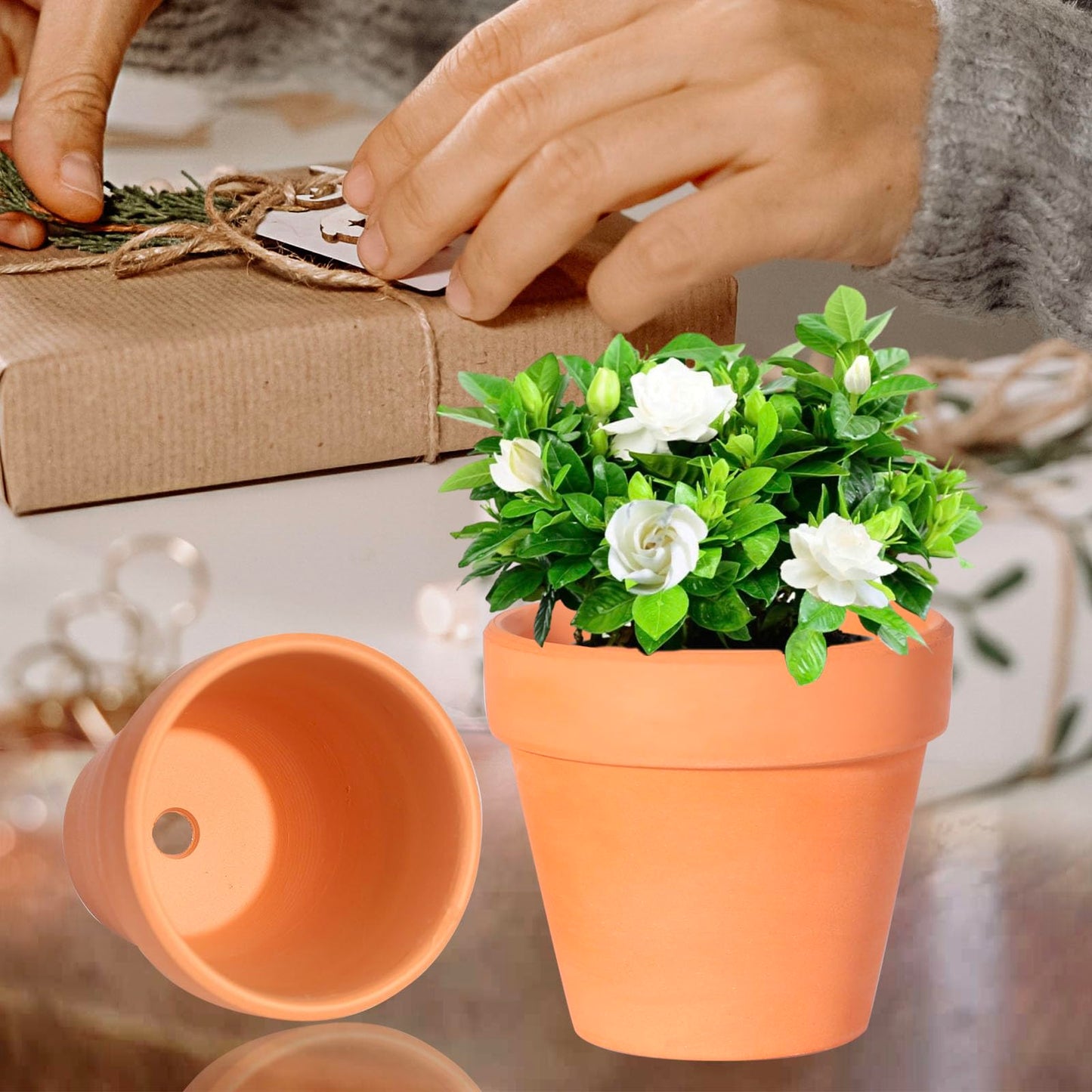 TKSCUSR 22Pcs 3 Inch Terracotta Pots, Clay Flower Pots Cactus DIY Flower Pots with Drainage Hole,Great for Plants Garden Windowsill Indoor & Outdoor Wedding Favors Gifts
