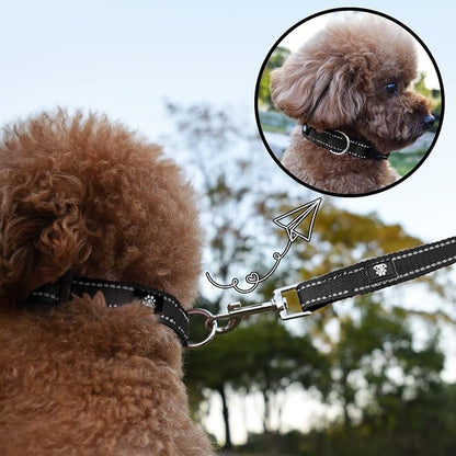 NESTROAD Dog Collar and Leash Set,Reflective Dog Collars with Quick Release Buckle,Adjustable Nylon Pet Collar for Small Medium Large Dogs(Medium,Black)