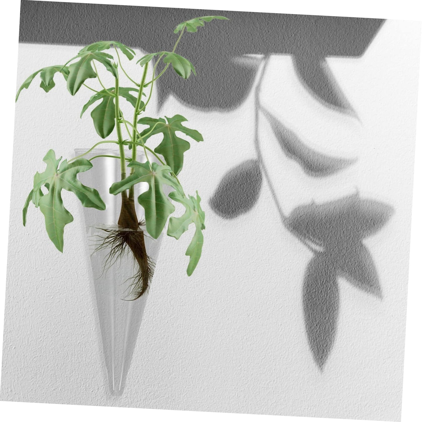 TOGEVAL Hydroponic Wall Hanging Glass Planter for Indoor Plants Space-Saving Terrarium Vase for Home Decor Modern Design Visible Root Growth for Flower Cuttings and Greenery