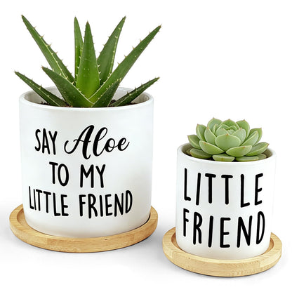 Msyueos Say Aloe to My Little Friend Planter Pot, Funny Plant Pots, Aloe Plant Pot Succulent Pots with Tray Set of 2 Flower Pots Indoor Pot - Without Plants, Office Home Windowsill Gifts (No Plant)