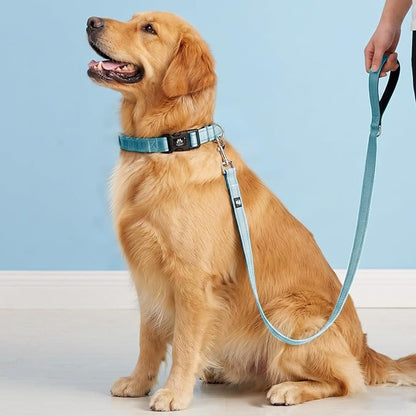 FURRYFECTION Reflective Dog Collar and Leash Set, Quick Release Buckle, Padded Neoprene, Adjustable Nylon for Small Medium Large Dogs (Large Collar+5FT Leash, Blue)