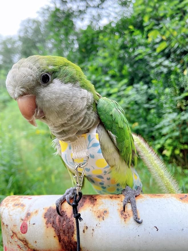 Bird Diaper Harness Flight Suit Clothes, Parrot Flight Suit with Leash, Bird Flying Clothes with Rope and Handle for Outdoor Activities Training (Yellow with Leash,Small)