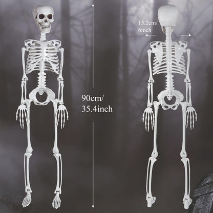 SUNREEK 3 ft Skeletons for Halloween, 36 inch Life Size Skeleton with Full Body Posable Joints, Halloween Plastic Skeleton for Outdoor Yard Patio Lawn Garden Haunted House Spooky Scene Decor (1)