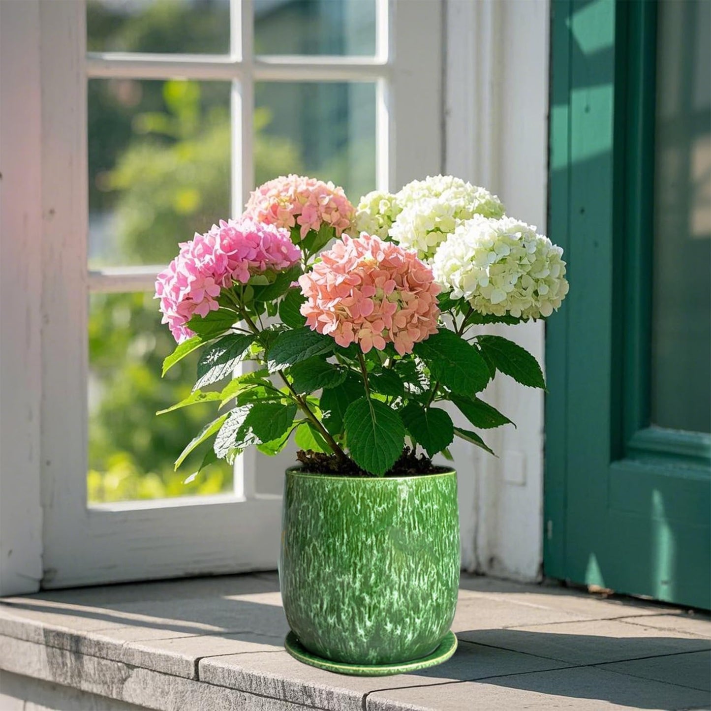 Chralji GIFTWARE 6 in Ceramic Plant Pot with Saucer，Indoor Plant Pot for Plants, Flower Pot with Drainage，Reactive Glaze Green