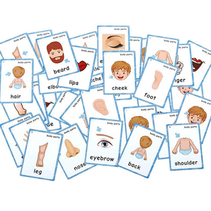 Set of(Body Parts+Illness) Flash Cards for Toddlers | Kids Learning Montessori Pocket Cards Toys | Perfect for Pre-K Decorations Background Wall Stickers,Teacher/Autism Therapists Tools