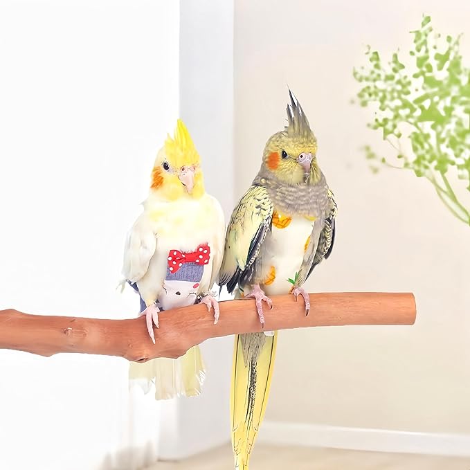2Pcs Bird Diapers Bird Harness Flight Suits Diapers with 80 Inch Flying Leash Parrot Nappy Washable Cute Urine Wet Suit for Cockatiel Conure Macaw Budgies Parakeet-Rabbit&Kitten,S