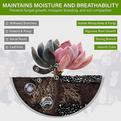NUPICK 12lb River Rocks for Plants Indoor, 3/8 Inch Black Pebbles for Vases Fillers, Decorative Pea Gravel for Fish Tank, Natural Polished Stones for Succulent, Bonsai, Landscaping, Bird Baths
