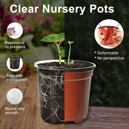 WandaQueen 30 Packs 3.5 Inch Reinforced Clear Nursery Pots for Plants with Drainage Holes, High Transparency Planting Plastic Seedling Pots, Seedling Planter Seed Starter with 20 Plant Labels