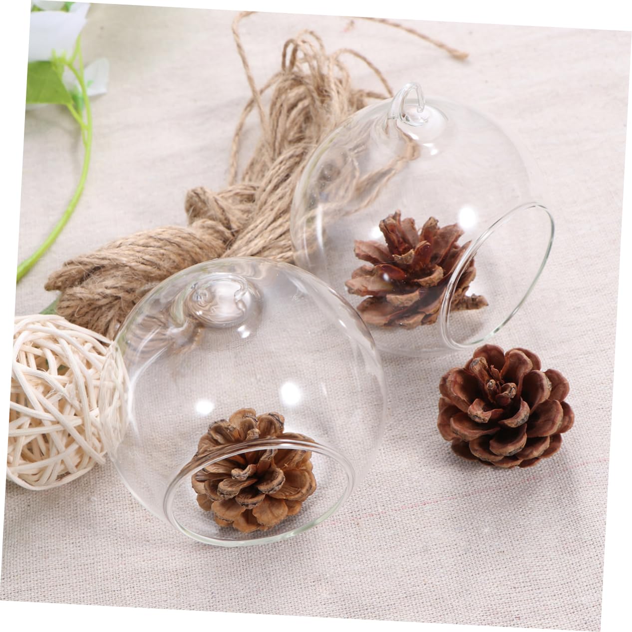 Cabilock 6pcs Clear Hanging Glass Vases Flat Base Design for Succulents and Plants for Terrarium Displays and Wedding Decor Lightweight Borosilicate Glass
