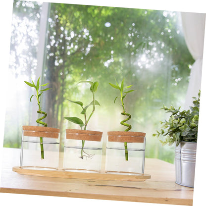 Sosoport Glass Plant Vase for Terrarium Air Plant Holders Houseplants Hydroponics Planting Vase