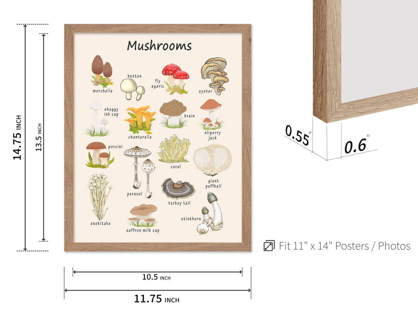 Poster Master Mushroom Print - Botanical Poster - Learning Materials Art - Educational Wall Design - Gift for Students & Teacher - Decor for Classroom, Library or Nursery - 11x14 Beige Framed