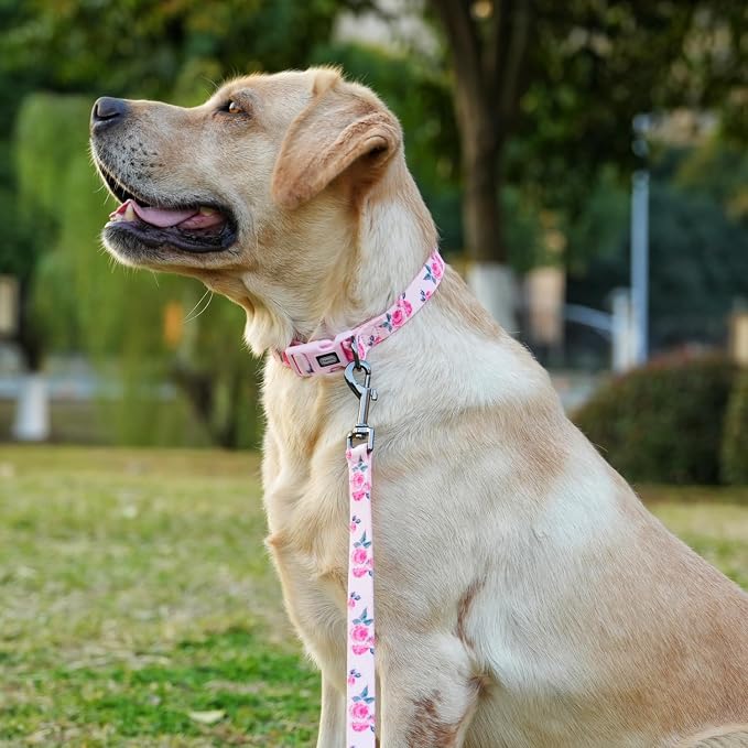 Dog Collar and Leash Set, Cute Rose Pattern, Polyester Material, 5ft Leash, for Medium Dogs.(Medium,Pink Rose)