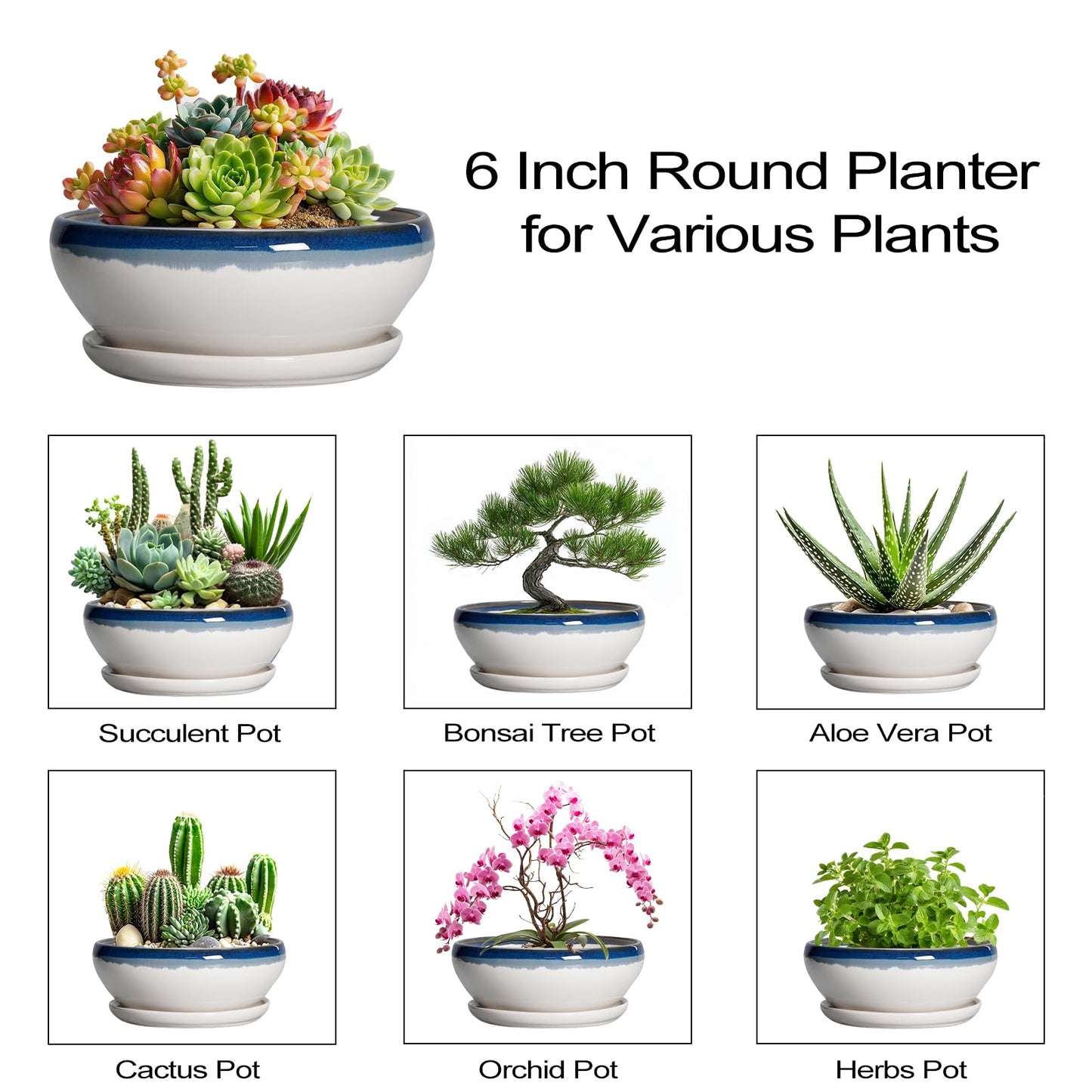 SQOWL Succulent Planters 6 Inch - Ceramic Bonsai Pots with Drainage Hole and Saucer, Round Shallow Planter for Indoor Plants, Ceramic Cactus Pot, Apartment Decor, Gifts for Women, Blue Off-White