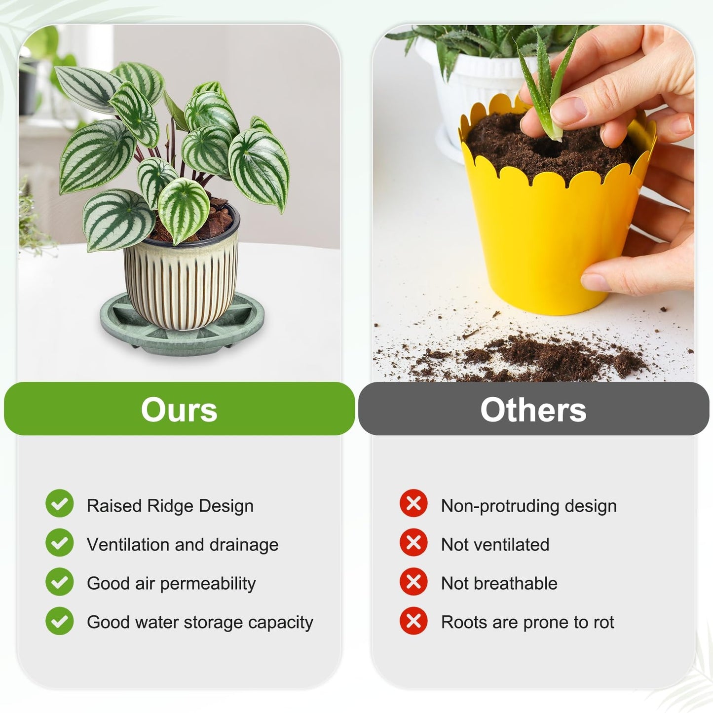 M METERXITY 2-Pack Plant Saucer, 6.3 Inch/16 cm Plastic Plant Trays Thicker for Pots/Indoor/Outdoor/Water Drainage and Protection, Flowerpot Drip Tray [Green Veins]