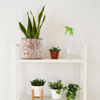 Meltset M Ceramic Planter for Indoor Plant,5 inch Plant Pot with Drainage Small Ceramic Pots Decorative Unique Planter Red for Orchid Succulent Outdoor, Crackle Glaze Finish, Gardening Gift